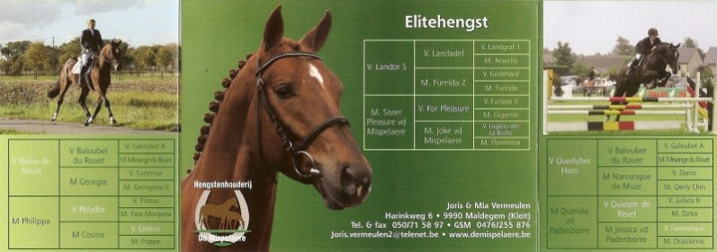 1234546972scannen0001 - kopie.jpg
