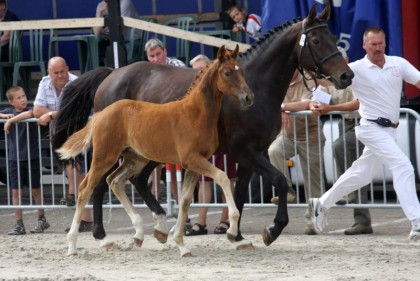 1250854268jasmina (dochter wandor).jpg