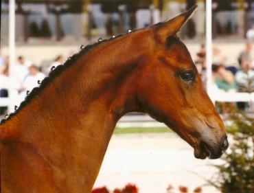 1252068933scannen0001b.jpg