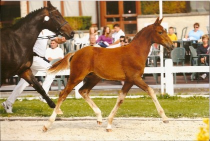 1252069205scannen0002.jpg