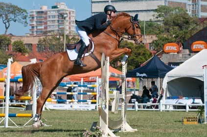 1377858982felix at sa champs 1.40m 3rd place 5.jpg