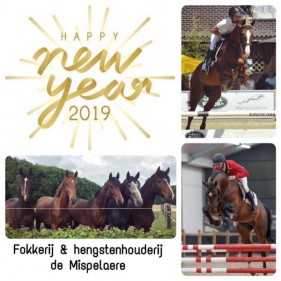 nieuws-HNY-2019.jpg