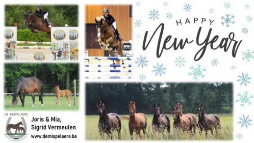 nieuws-HNY-vdm-2020.JPG