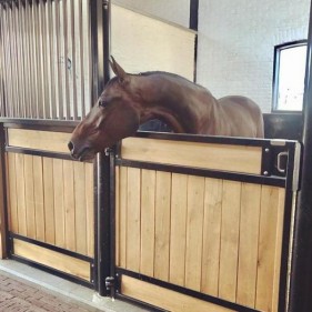 nieuws-Halland-Stephex-Stables.jpg