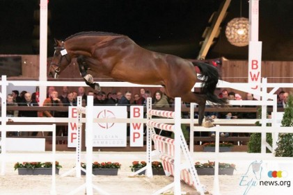 paard-29103734102128929600928836903305736634236928o.jpg